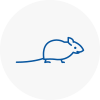 Mice Exterminators In Chertsey